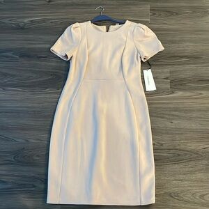 NWT Calvin Klein Blush Pink Soft Suede Dress Size 10